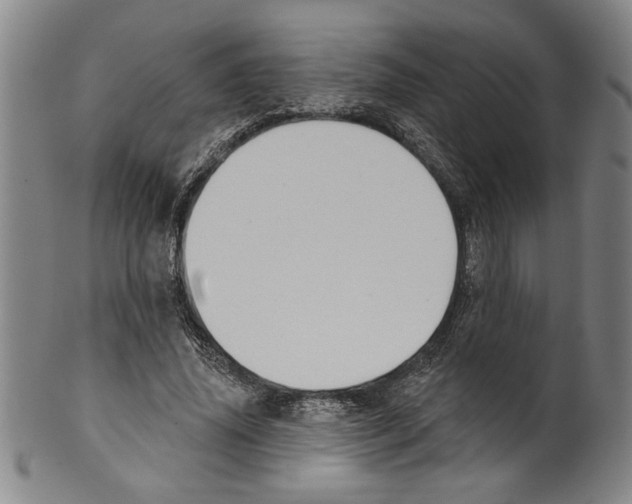 X0000099480636200806061246