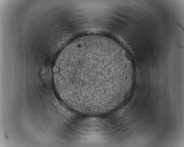X0000099480637200806061246