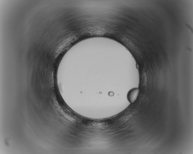 X0000099480638200806061246