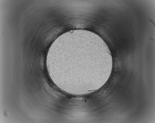 X0000099480639200806061246