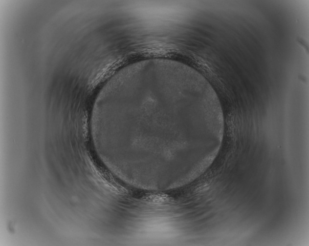 X0000099480642200806061246