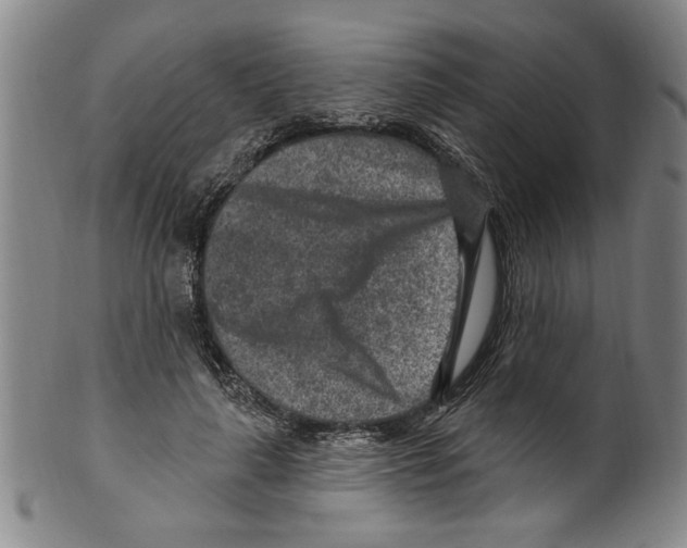 X0000099480643200806061246