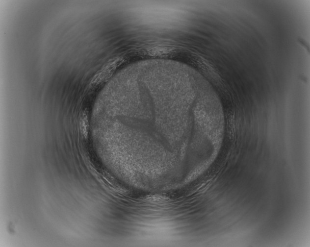 X0000099480644200806061246