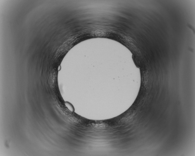 X0000099480645200806061246