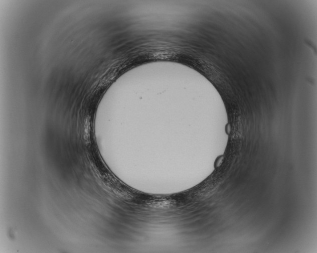 X0000099480646200806061246