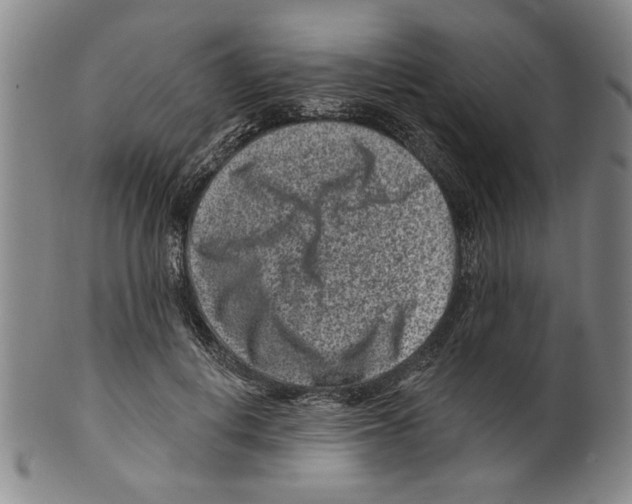 X0000099480648200806061246
