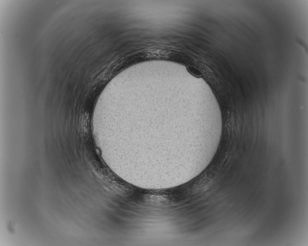 X0000099480649200806061246