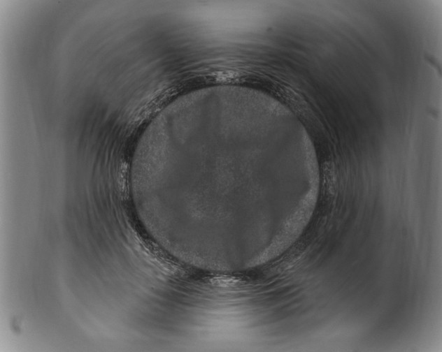 X0000099480650200806061246
