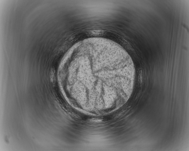 X0000099480651200806061246