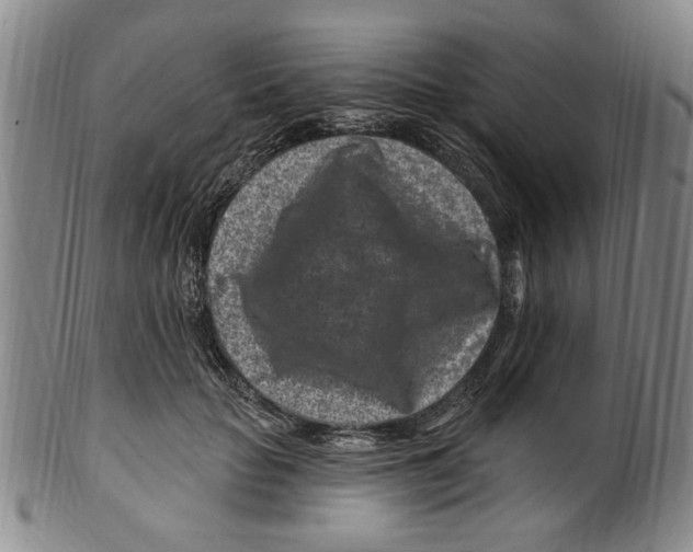 X0000099480653200806061246
