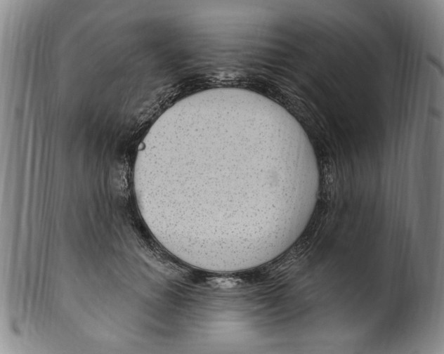 X0000099480654200806061246