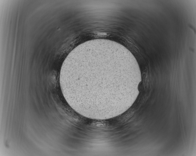 X0000099480655200806061246