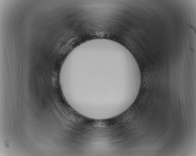 X0000099480656200806061246