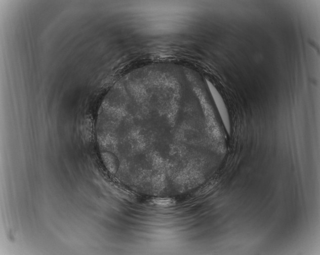 X0000099480659200806061247