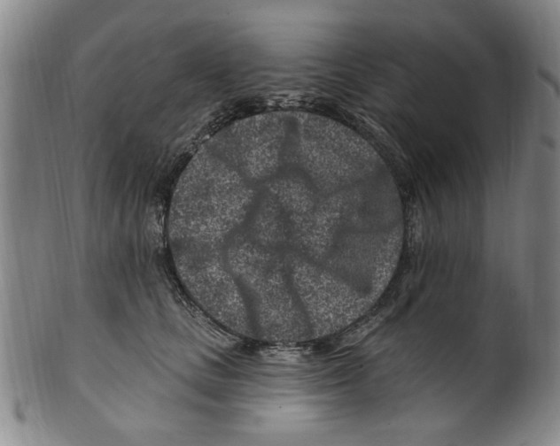 X0000099480661200806061247