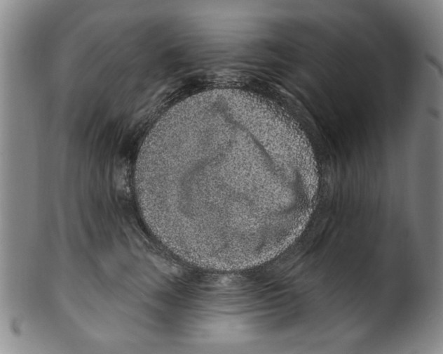 X0000099480663200806061247