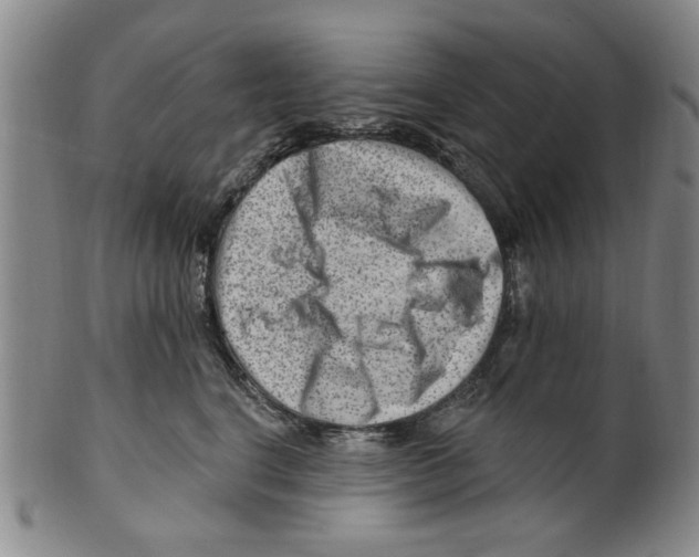 X0000099480664200806061247