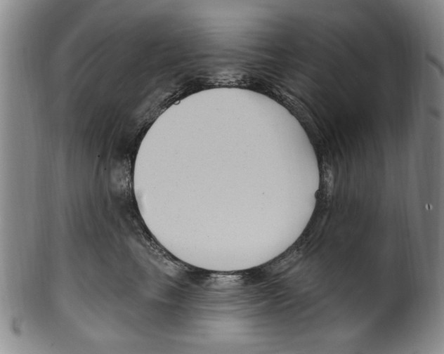 X0000099480665200806061247