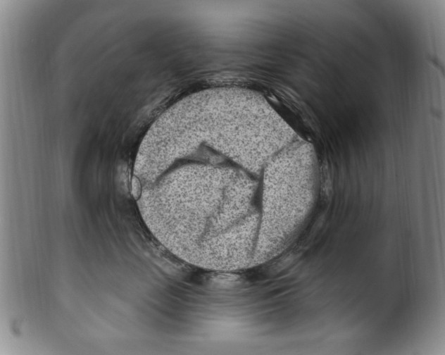 X0000099480669200806061247