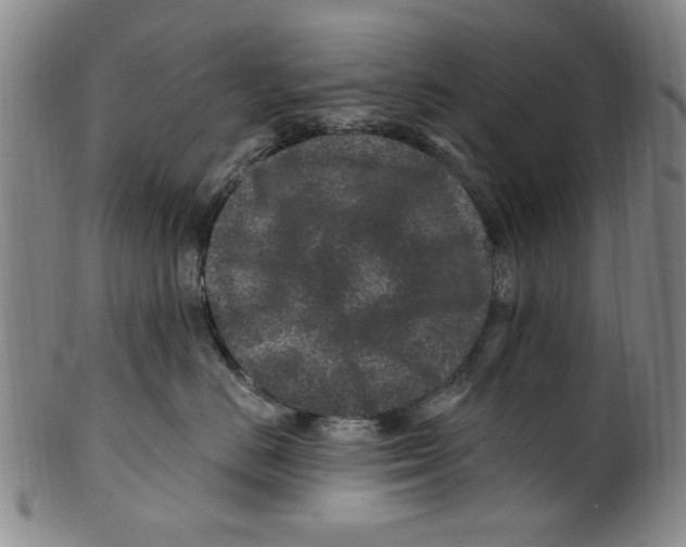 X0000099480670200806061247