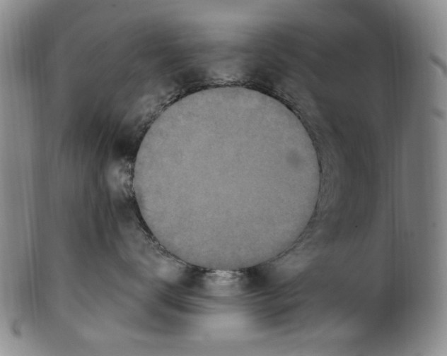 X0000099480672200806061247