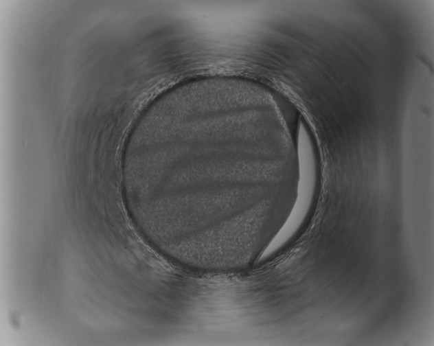 X0000099480673200806061246