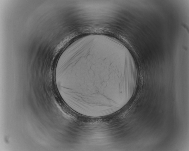 X0000099480674200806061246