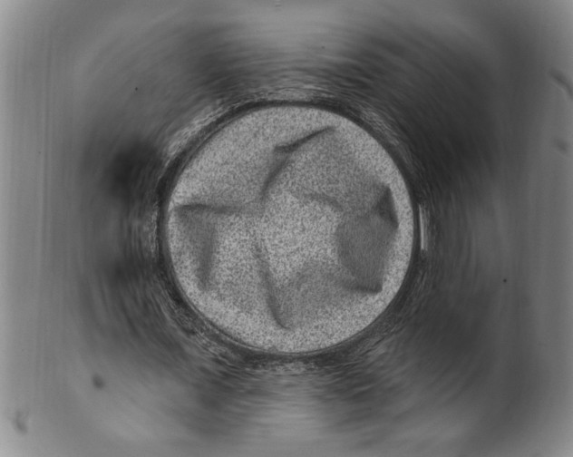 X0000099480675200806061246