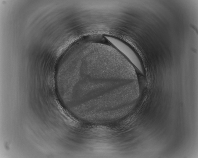 X0000099480677200806061246