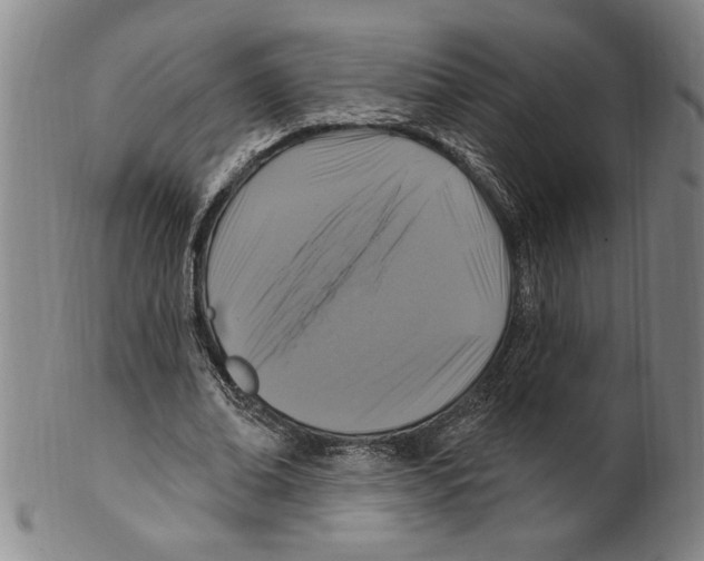 X0000099480678200806061246