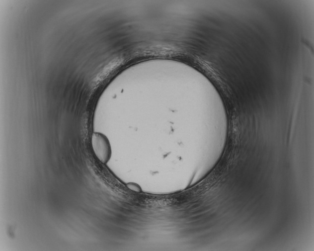 X0000099480679200806061246