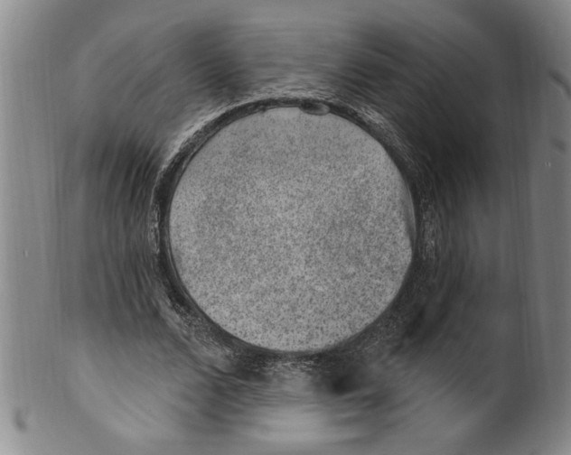 X0000099480680200806061246