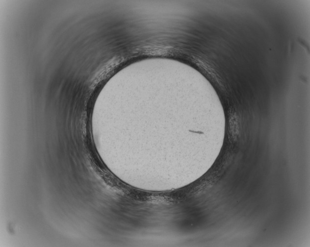 X0000099480682200806061246