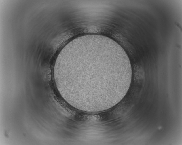X0000099480683200806061246