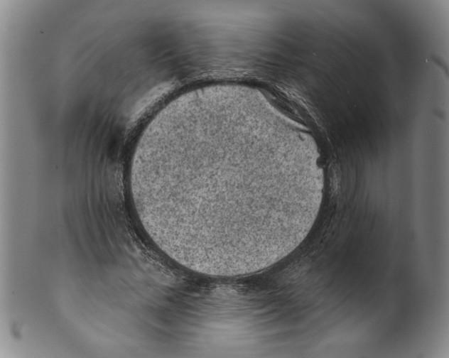 X0000099480684200806061246