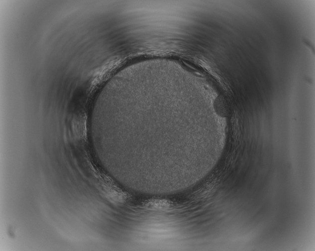 X0000099480685200806061246