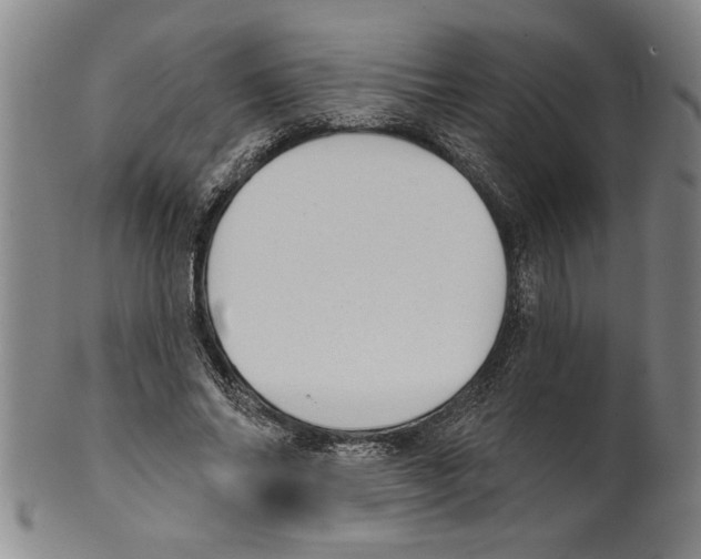 X0000099480686200806061246