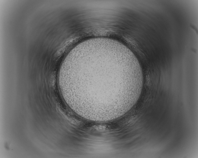 X0000099480687200806061246