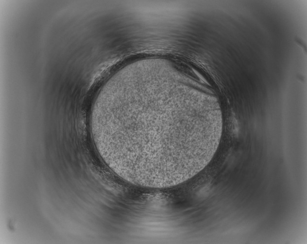 X0000099480688200806061246
