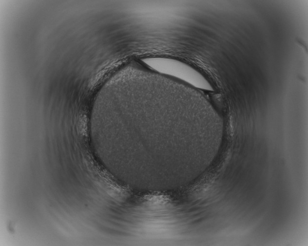 X0000099480689200806061246