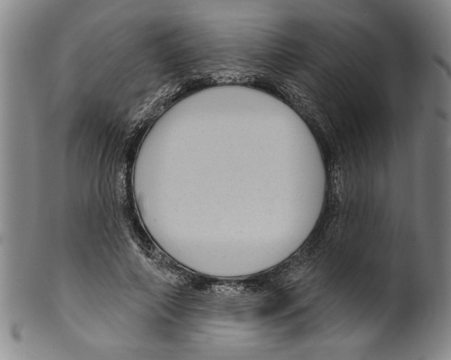 X0000099480690200806061246