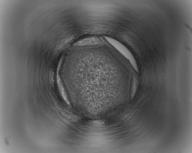 X0000099480692200806061246