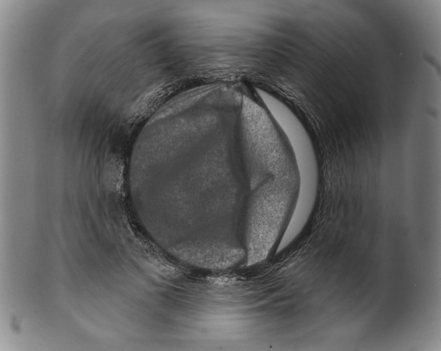 X0000099480693200806061246