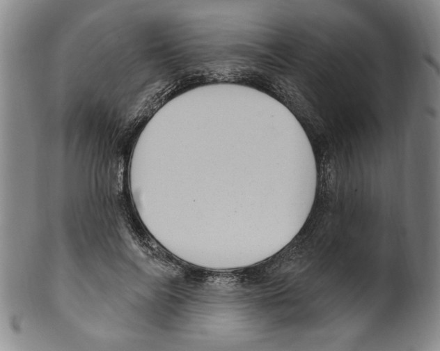 X0000099480694200806061246