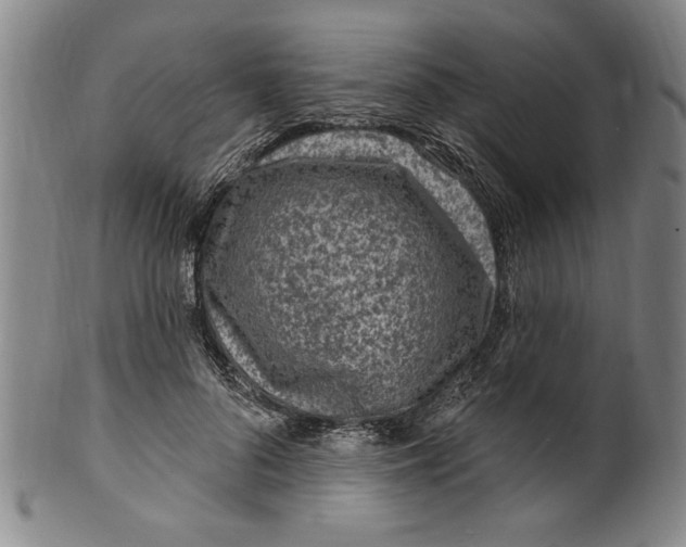 X0000099480696200806061246