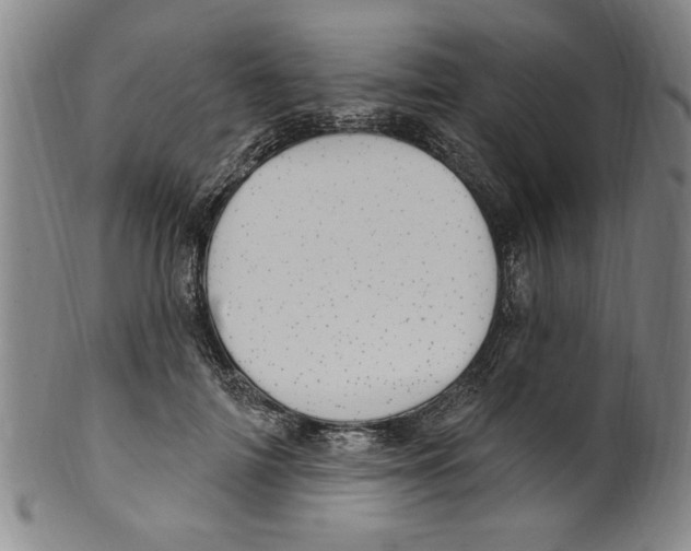 X0000099480698200806061246