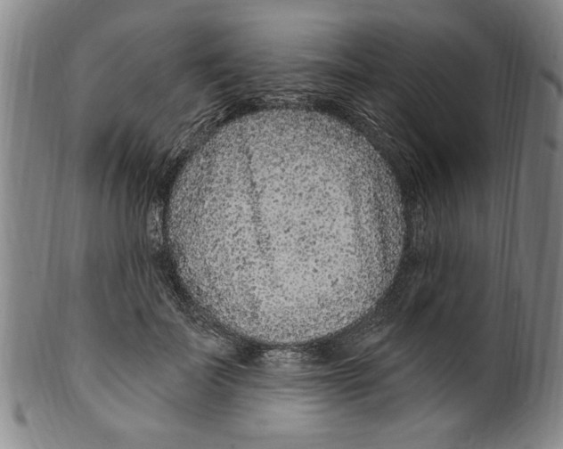X0000099480699200806061246