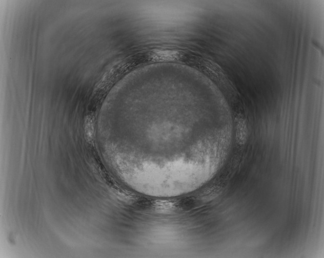 X0000099480701200806061246