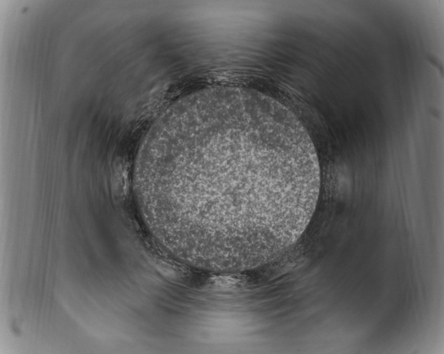 X0000099480703200806061246