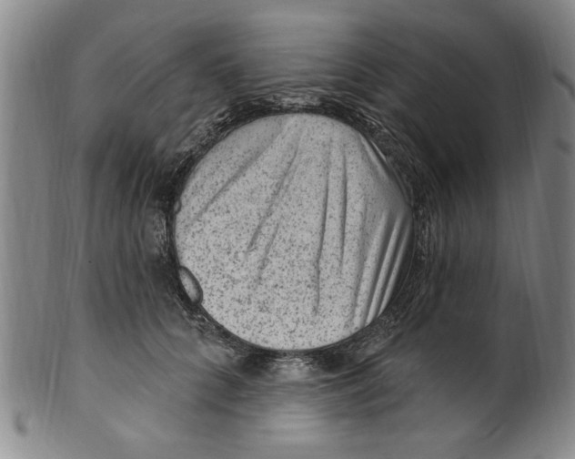 X0000099480704200806061246